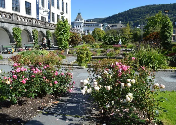 Apartament Centrum *